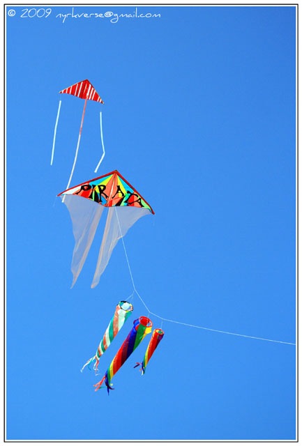 kites11