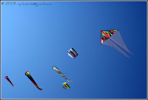 kites12