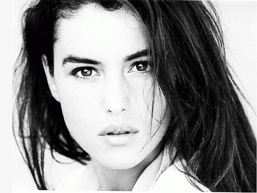 Monica In Irriversible