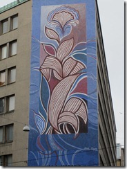 IMG_2618 IMG_2618