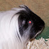 100_4264.JPG