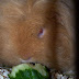 100_6270.JPG