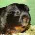 DSCF4990.JPG