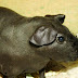 DSCF5008.JPG