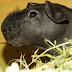 DSCF5012.JPG