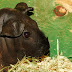DSCF5033.JPG