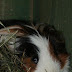 DSCF4955.JPG