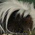 DSCF4966.JPG
