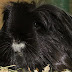 DSCF4967.JPG