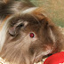 DSCF4968.JPG