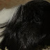 DSCF4973.JPG