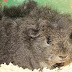 DSCF4975.JPG