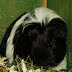 DSCF4988.JPG