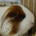 DSCF2492.JPG