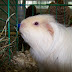 100_8938.JPG