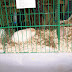 100_8940.JPG