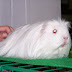 100_8976.JPG