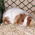 DSC03983.JPG