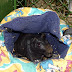 DSC04006.JPG