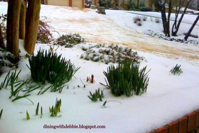 [snow24.jpg]