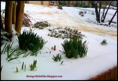 snow2