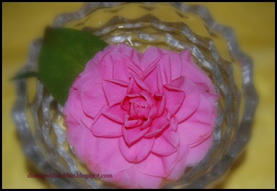 DSC_0149 DSC_0149