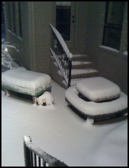 snow in march 3
