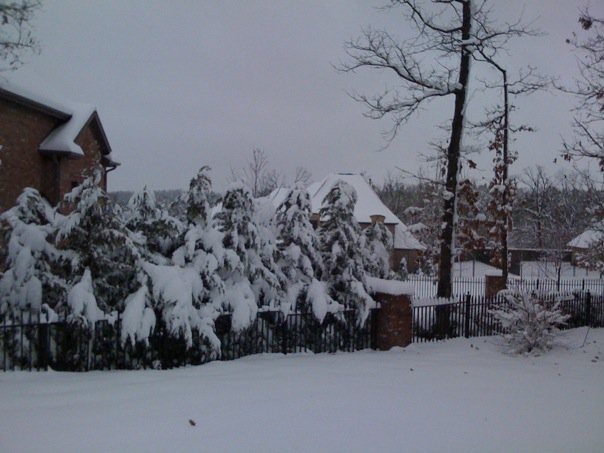 [snow in march 4[6].jpg]
