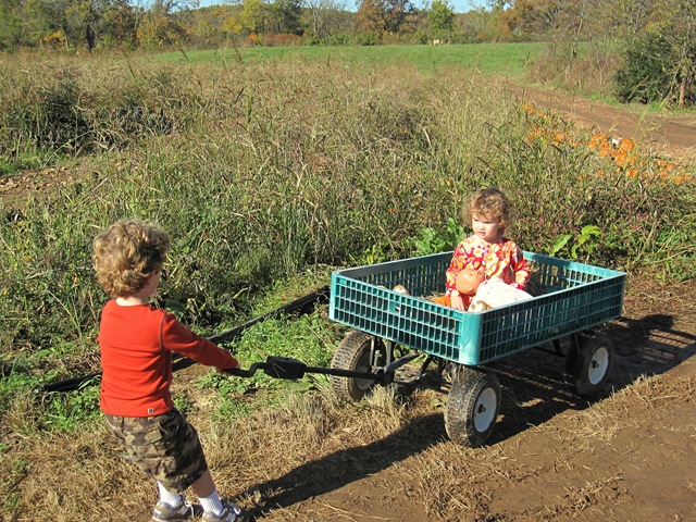[pumpkinpatch41.jpg]