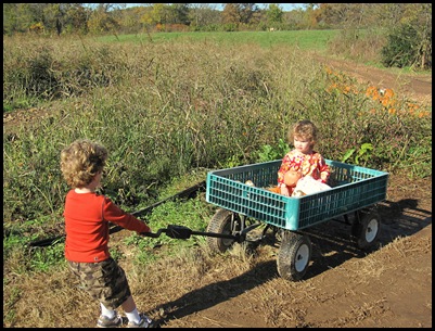 pumpkin patch