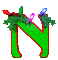 32395572