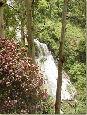 cachoeiros de Nova Friburgo (28)