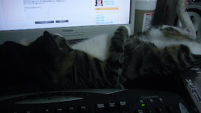 P1050621.JPG