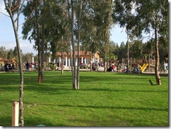 DSCF1447