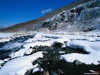 Click to view Winter + Beautiful + Nature Wallpaper [winter 06 1600x1200px.jpg] in bigger size