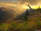 Click to view NATURE + NATURAL + 1600x1200 Wallpaper [nature 19 1600x1200px.jpg] in bigger size
