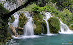 Click to view NATURE + NATURAL + 1680x1050 Wallpaper [Plitvice Lakes National Park Croatia 2.jpg] in bigger size