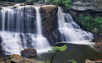 Click to view NATURE + NATURAL + 1680x1050 Wallpaper [Blackwater Falls Blackwater Falls State Park West Virginia.jpg] in bigger size