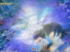 Click to view DRAGON + BALL + 1024x768 Wallpaper [dragon.ball.Z.035.jpg] in bigger size