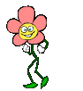 flor-dancante