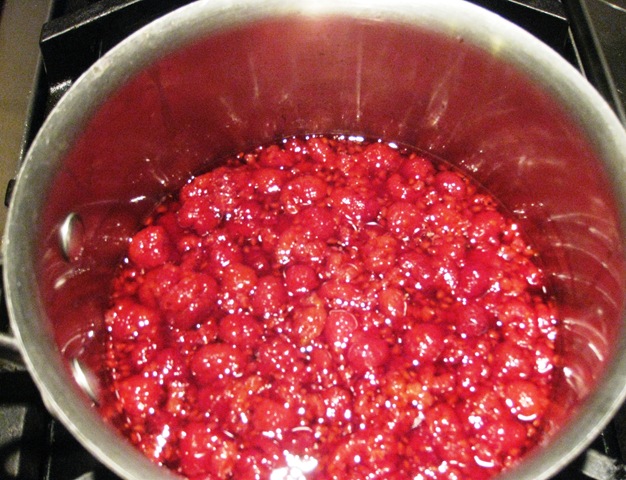 [raspberrycouli4.jpg]