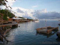 grenada_true_blue1