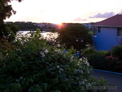 grenada_true_blue2