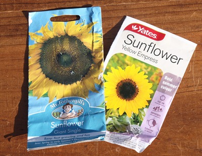sunflower seeds