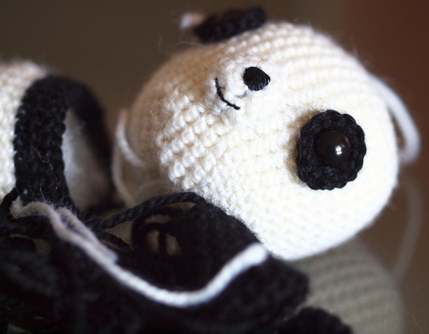 [panda face 2[5].jpg]