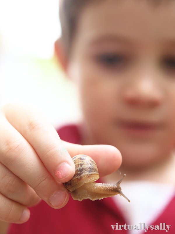 snail love
