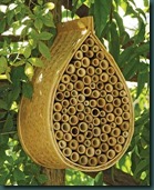 mason bee house mason bee house