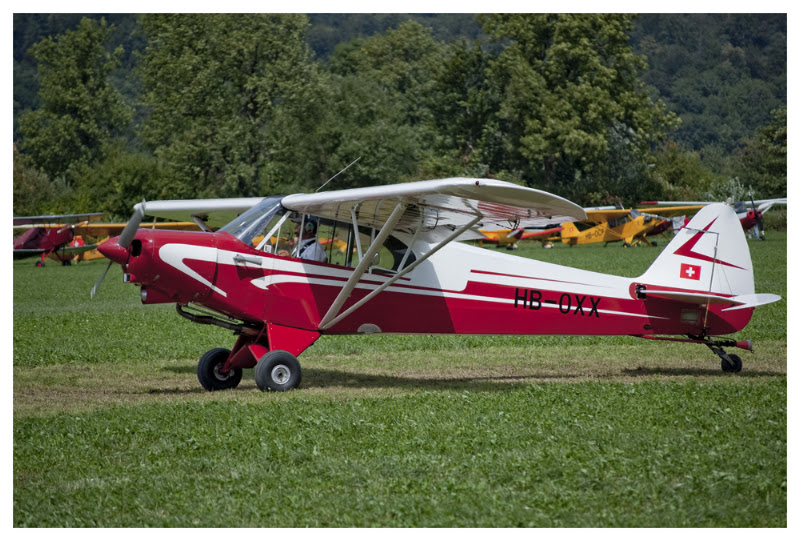 DCM04.jpg