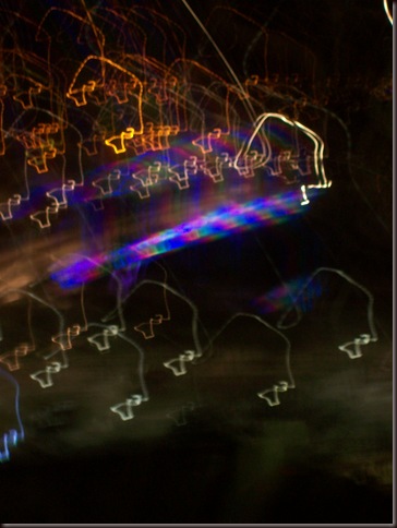 101_8304 101_8304