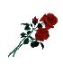 [rose_icon[2].gif]